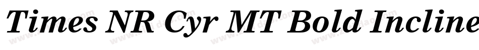 Times NR Cyr MT Bold Inclined字体转换